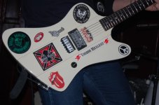 Firebird_3.jpg