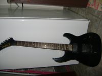 DSC01490a.jpg