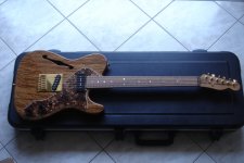Thinline_1.jpg