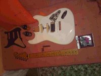 20092010557a.jpg