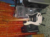 29092010569a.jpg