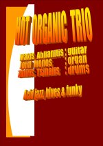 αφισα_organ_trio-2011.jpg