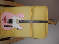 pink_tele_003.JPG