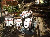 DSC00882.jpg