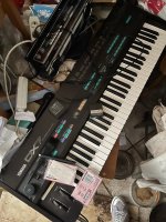 IMG_1847.jpeg
