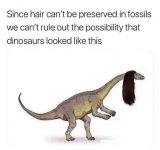image.jpeg