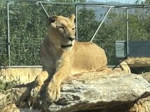 IMG_1472.jpeg