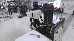 tesla bot.gif