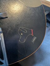 PXL_20250218_155059994.jpg