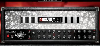 amp dual rect nembrini.jpg
