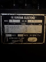 IMG_7556.jpeg