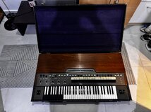 IMG_7560.jpeg