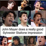1773491355282.png