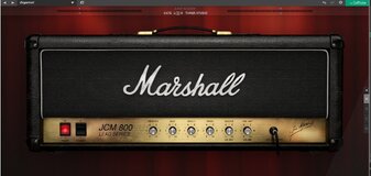 Marshall JCM-800 .jpg