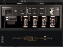 back gt amp.jpg