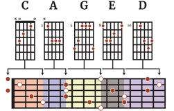 the-caged-system-explained-1.gif