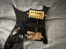 ibanez2.jpg