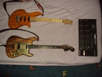DSC00345.JPG