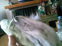 02012011005.jpg 02012011005.jpg