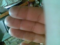 02012011002.jpg 02012011002.jpg