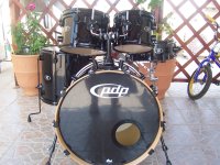 PDP-DW_BXBIRCH_010.JPG