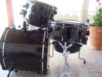 PDP-DW_BXBIRCH_006.JPG