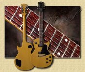 Gibson_Les_Paul_Special_VOS_60_single_cutaway1.jpg