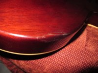 IMG_4355_Large.JPG