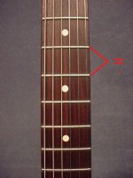 FASS1H-CHS-TREM_fretboard.jpg