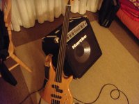 DSC01428.jpg