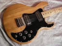 big_peavey_t-60DSCN5071.jpg