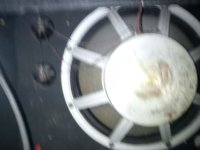 Acousta6.JPG