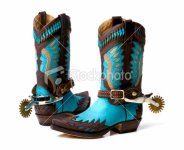 istockphoto_7398380-stylish-cowboy-boots.jpg