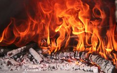 Wood_Burning_In_A_Fireplace.jpg