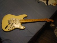 DSC00420.JPG