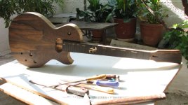 guitarLP.jpg