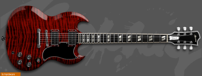 SG_Custom.png