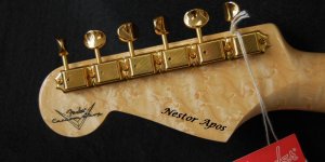 my_signature_strat.jpg