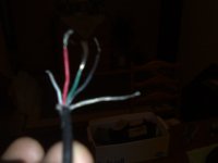 27022012818.jpg