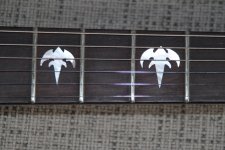 -IMG_7086.JPG