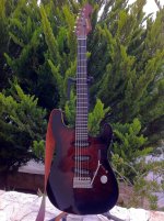 warmoth_hollow_harilatron_2.jpg