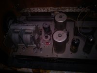 DSC00564.jpg
