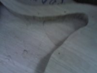 14052012001.jpg