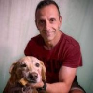 Dimitris Stavroulakis