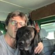 Matt Mondanile