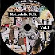 NOIZEDELIC FOLK