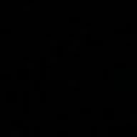 Vaggelis Nikolakis