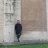 Stelios Lalousis